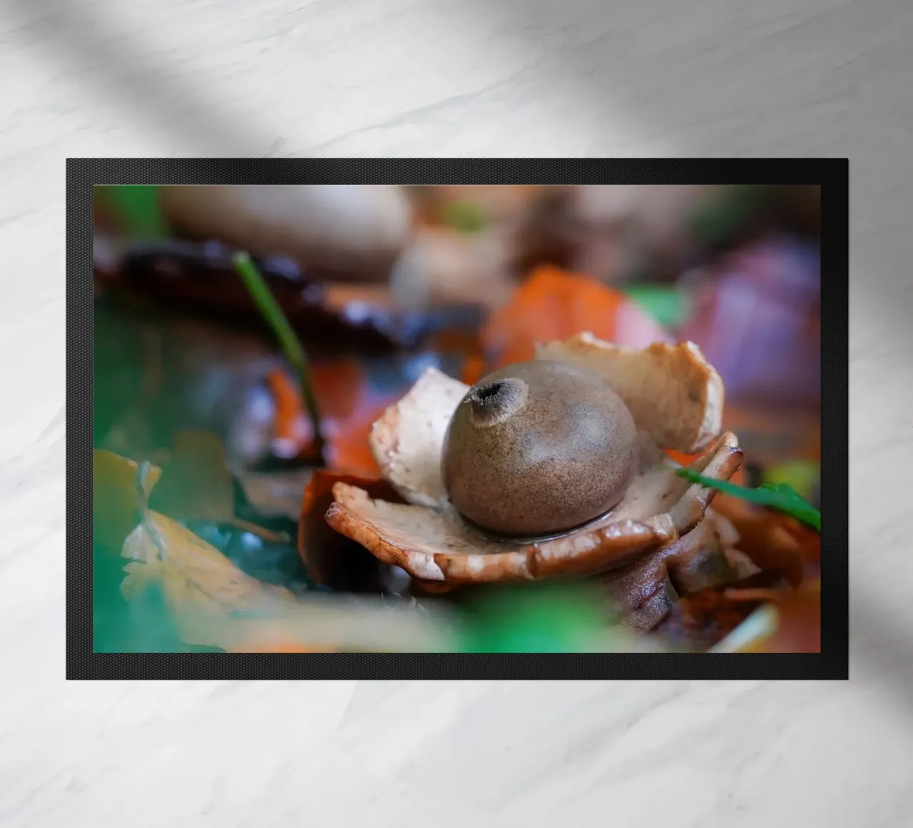 Funghi d'autunno zerbino da Tom's Wildlife