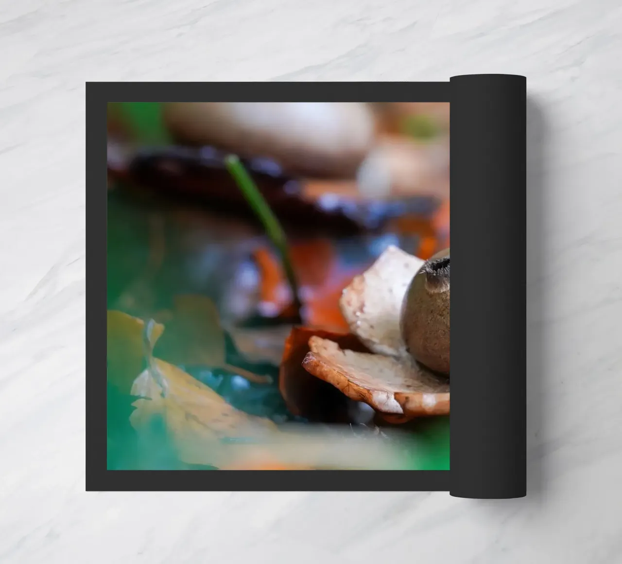 Funghi d'autunno zerbino da Tom's Wildlife