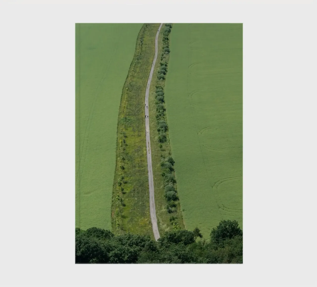 A path leads through bright green fields notebook by Heidemüllerin