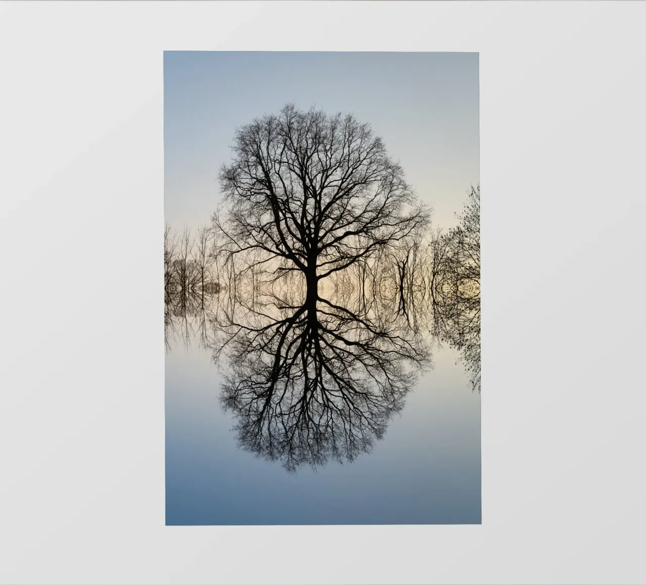 Riflesso di un albero in inverno telo in pvc da Heidemüllerin