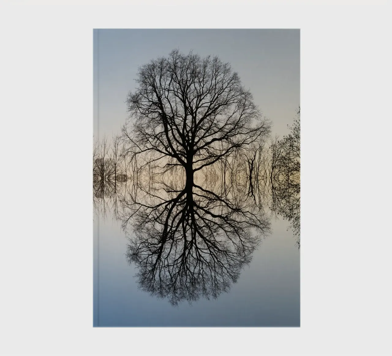 Reflection of a tree in winter notebook by Heidemüllerin