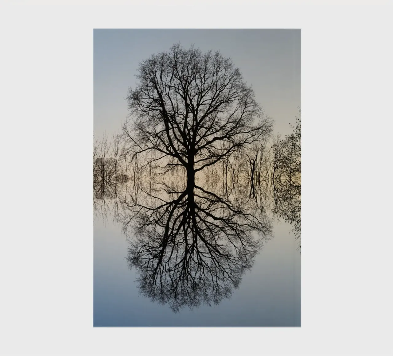 Reflection of a tree in winter notebook by Heidemüllerin