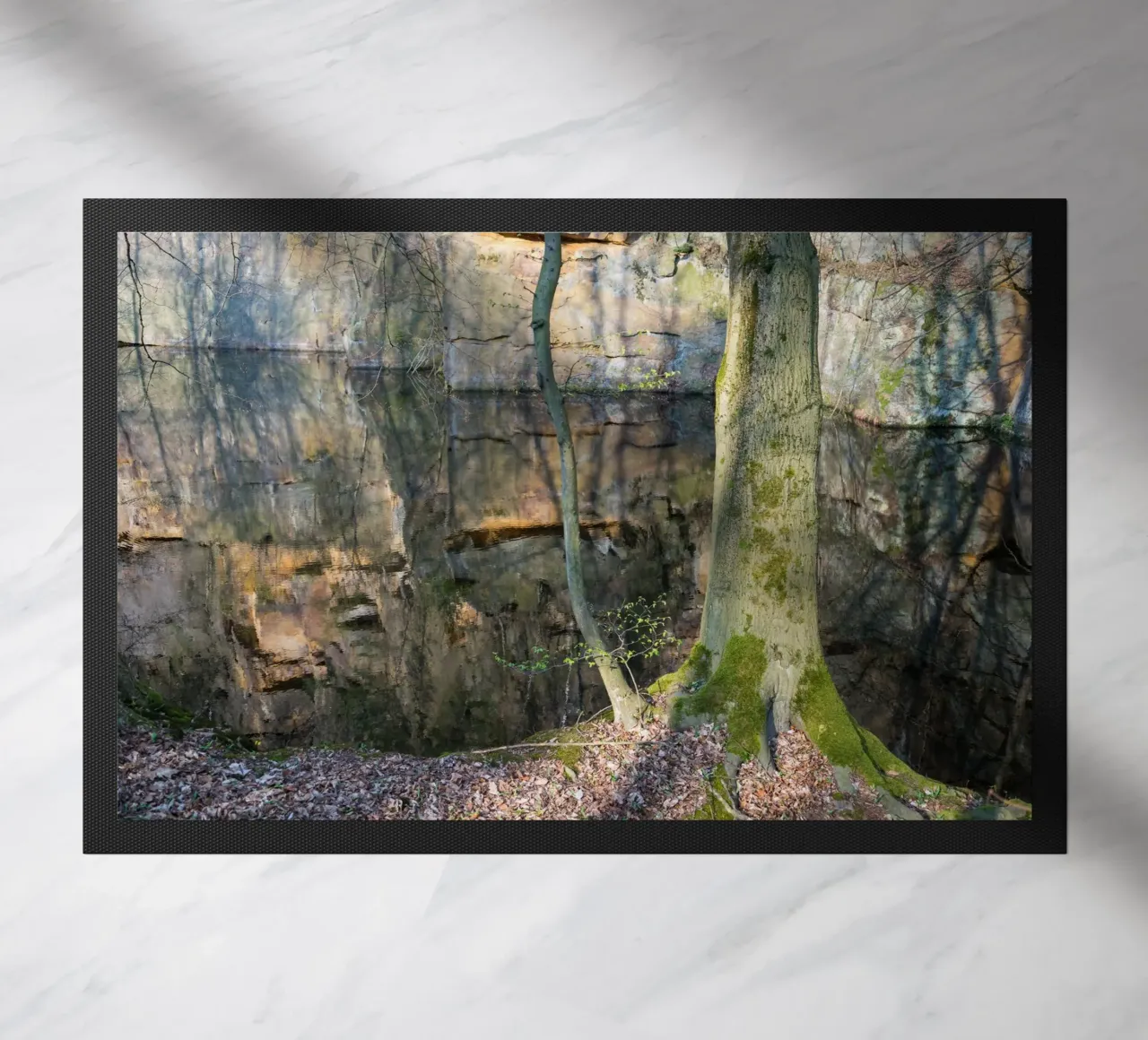 Albero e riflesso delle rocce nell'acqua zerbino da Heidemüllerin