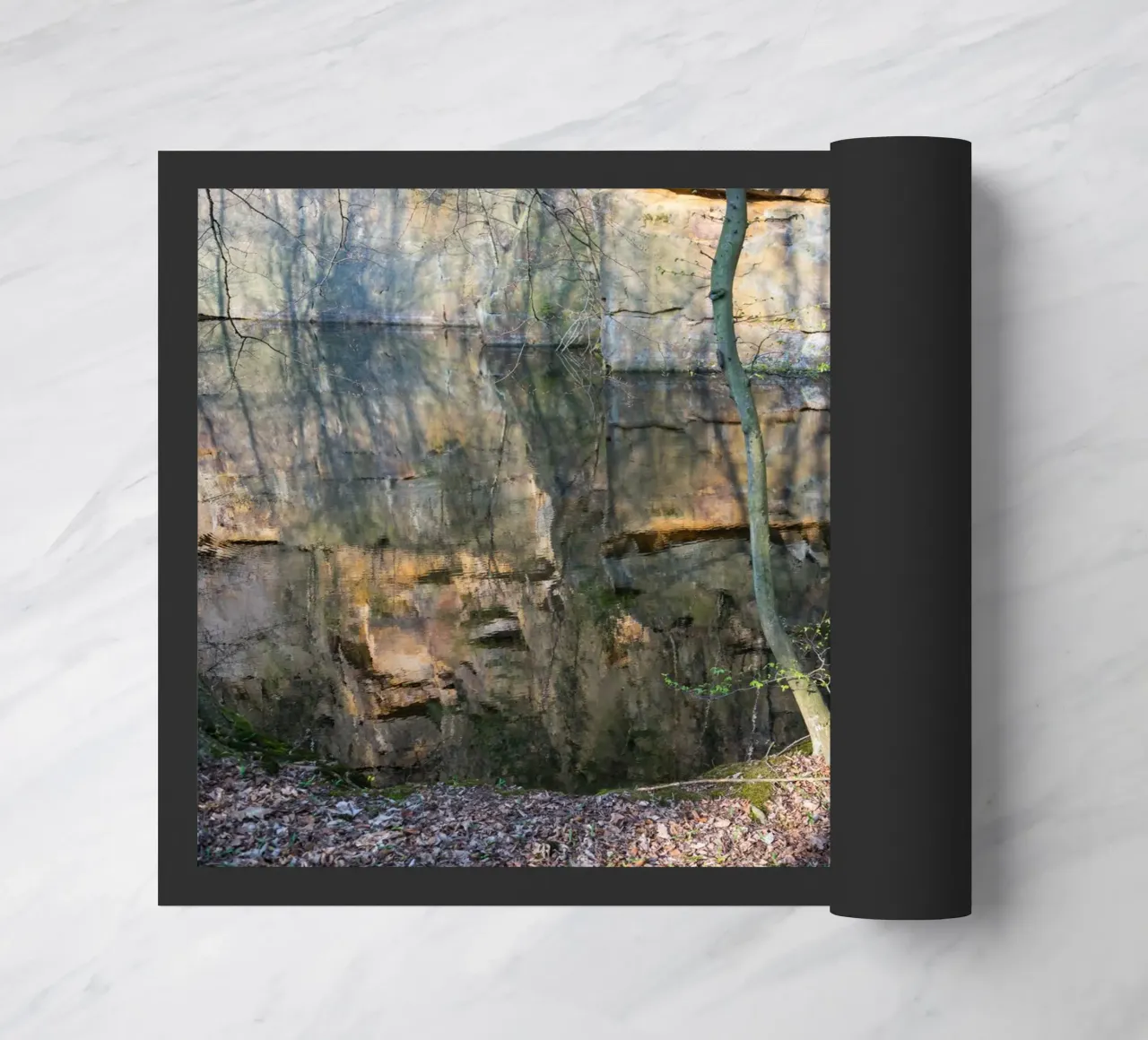 Albero e riflesso delle rocce nell'acqua zerbino da Heidemüllerin