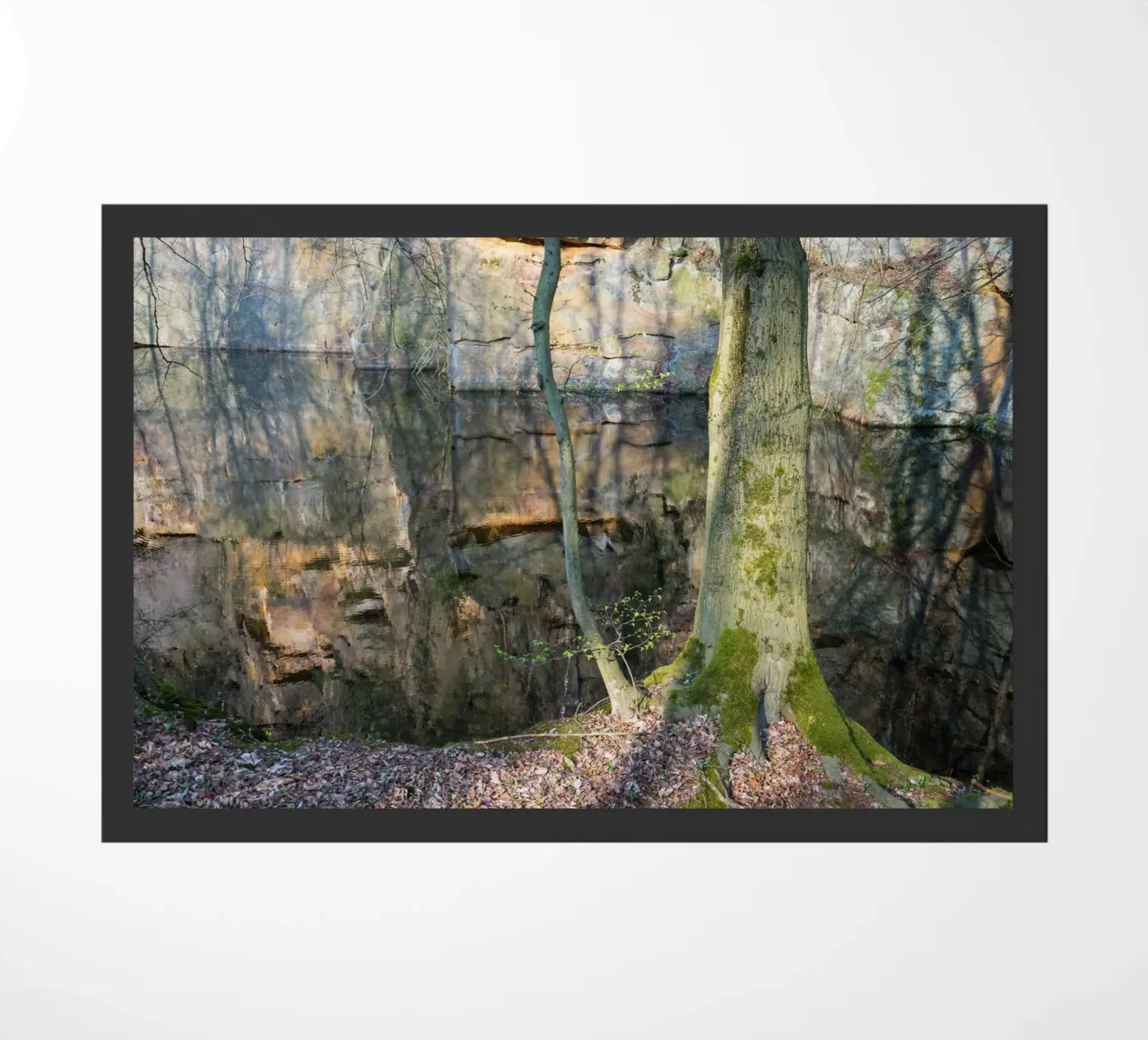 Albero e riflesso delle rocce nell'acqua zerbino da Heidemüllerin