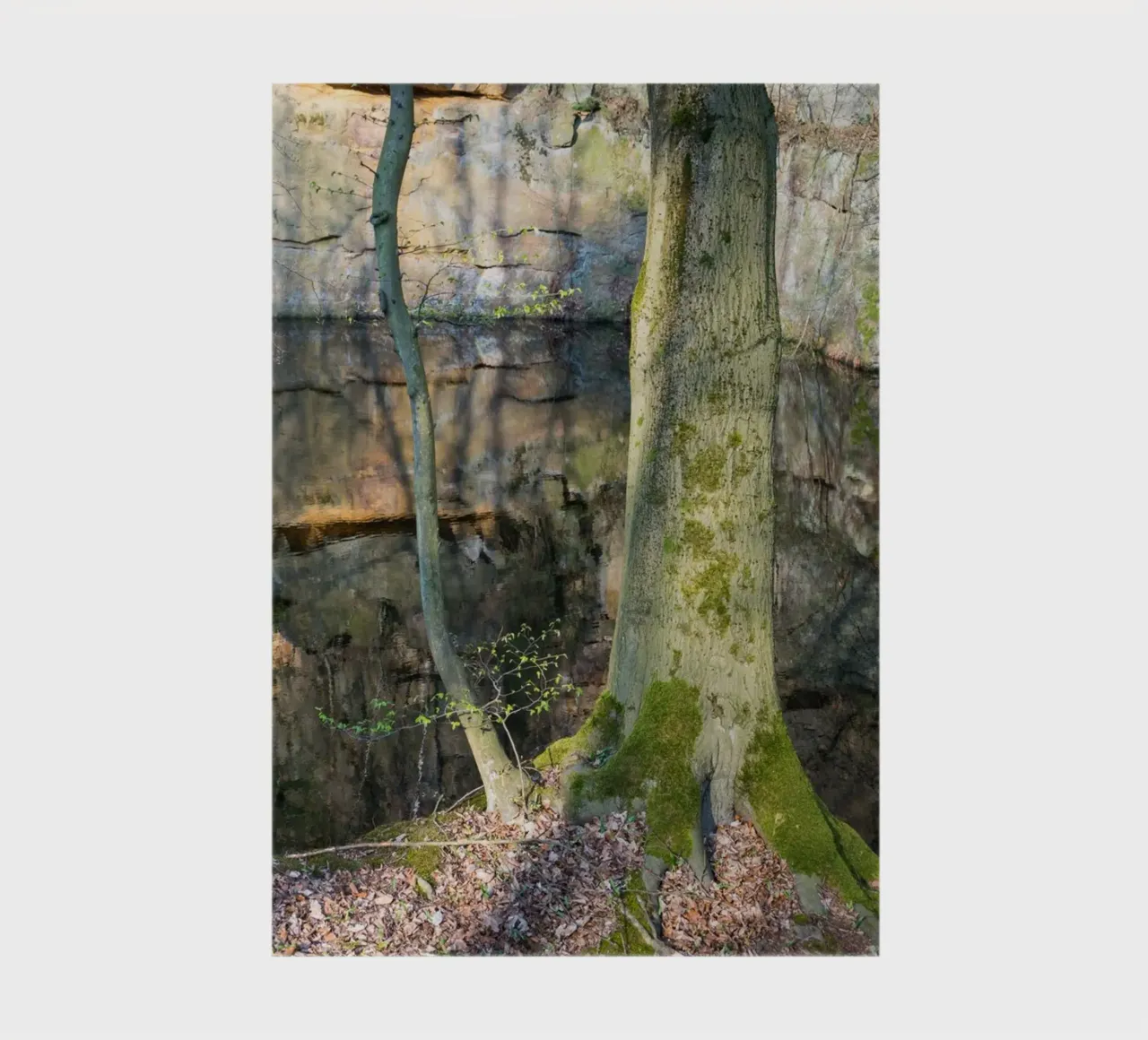 Tree and reflection of rocks in the water notebook by Heidemüllerin