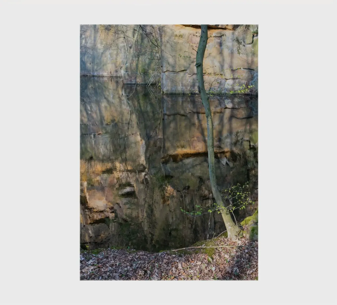Tree and reflection of rocks in the water notebook by Heidemüllerin