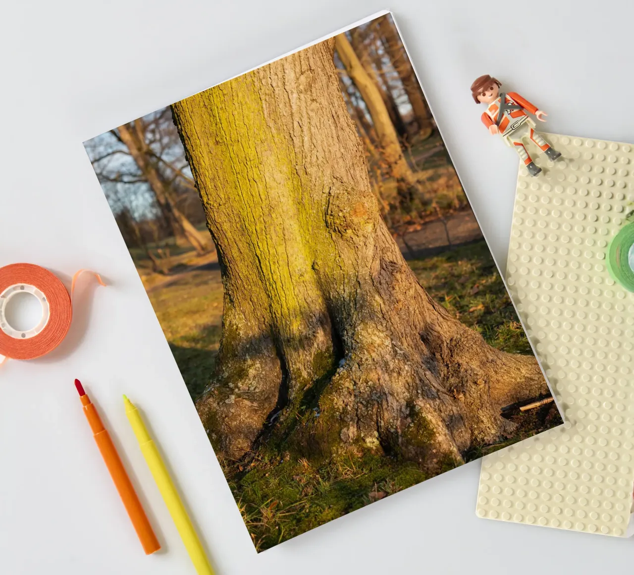 Detail of a tree in the evening light notebook by Heidemüllerin