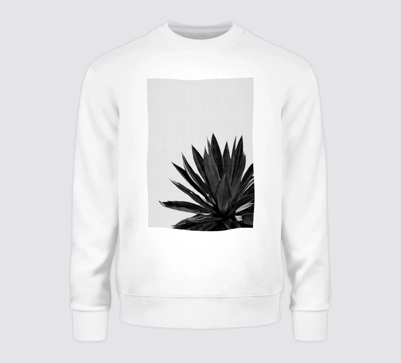 Cactus Agave bianco e nero felpa da Orara Studio