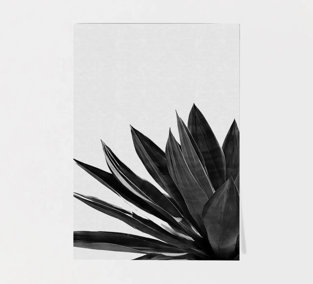 Cactus Agave Blanco y Negro pack de pegatina de Orara Studio