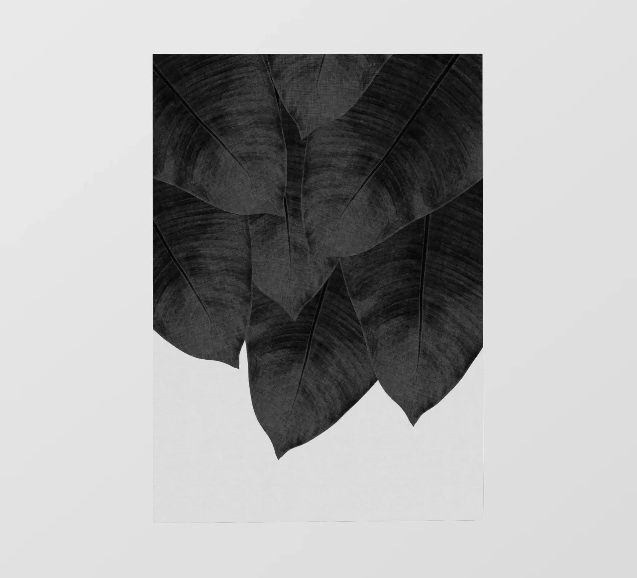 Banana Leaf Black & White III photo wallpaper by Orara Studio