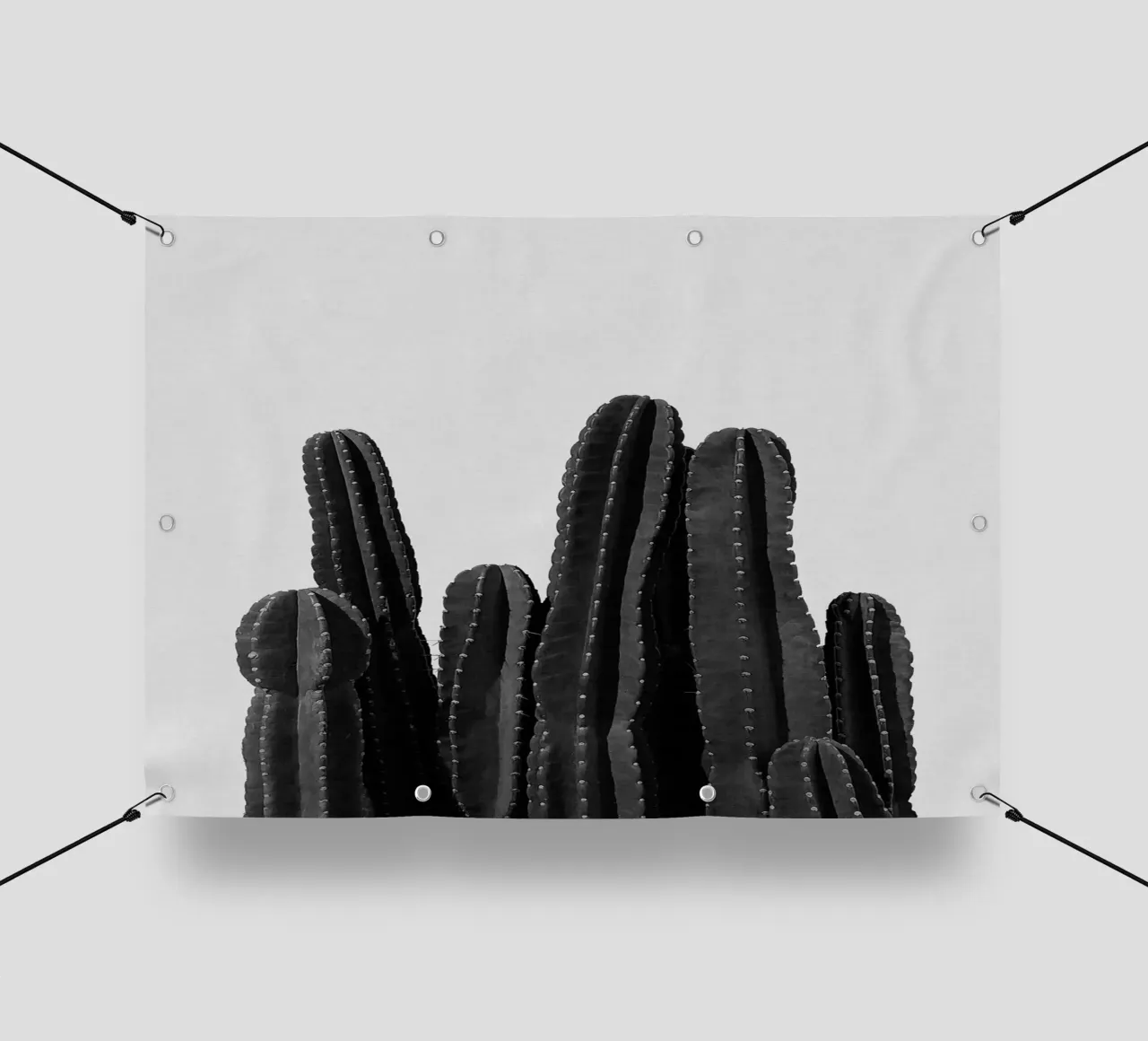 Cactus in bianco e nero telo in pvc da Orara Studio