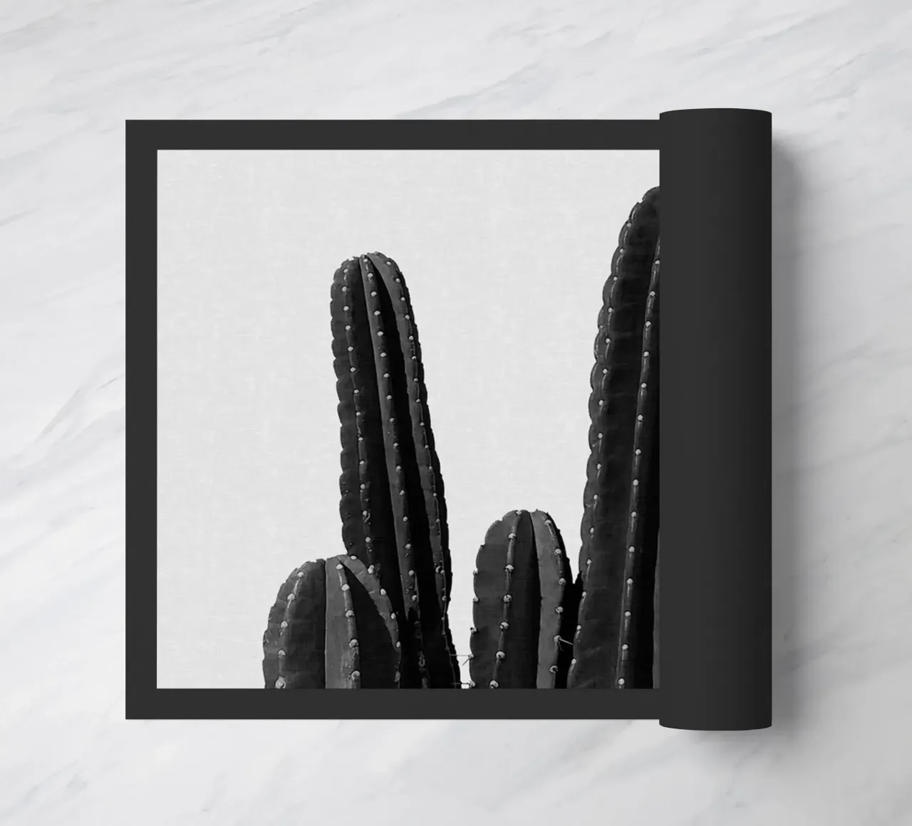 Cactus in bianco e nero zerbino da Orara Studio
