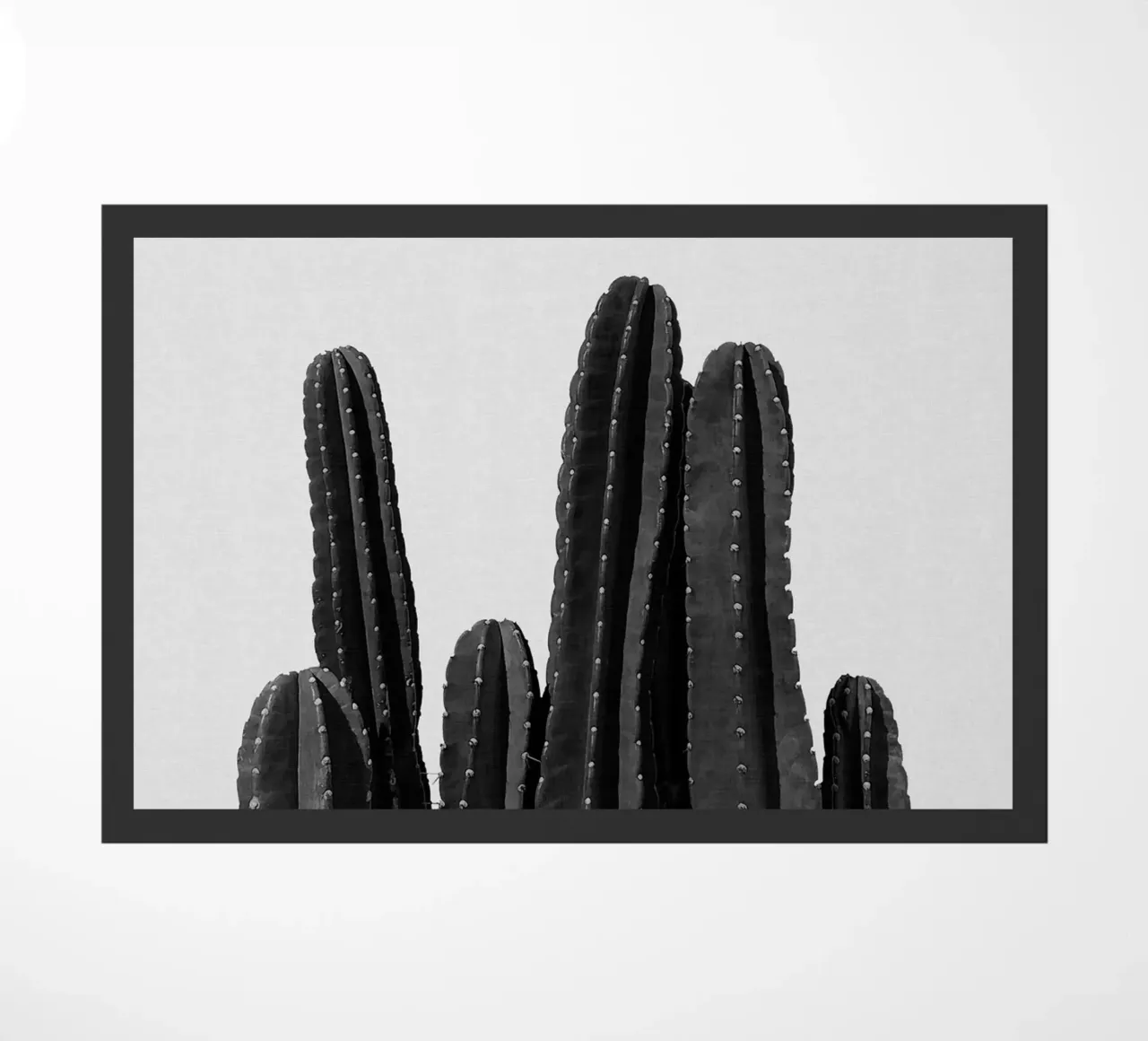 Cactus in bianco e nero zerbino da Orara Studio