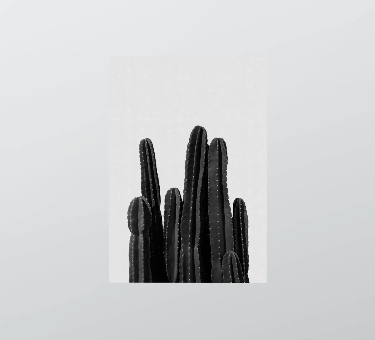 Cactus in bianco e nero adesivo da Orara Studio