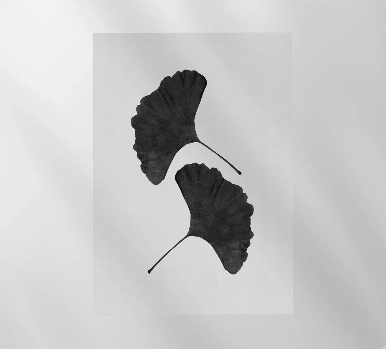 Foglia di ginkgo in bianco e nero II pellicola backlit da Orara Studio