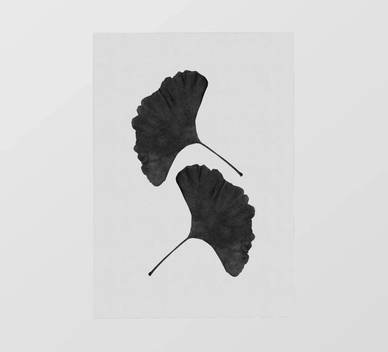 Foglia di ginkgo in bianco e nero II telo in pvc da Orara Studio