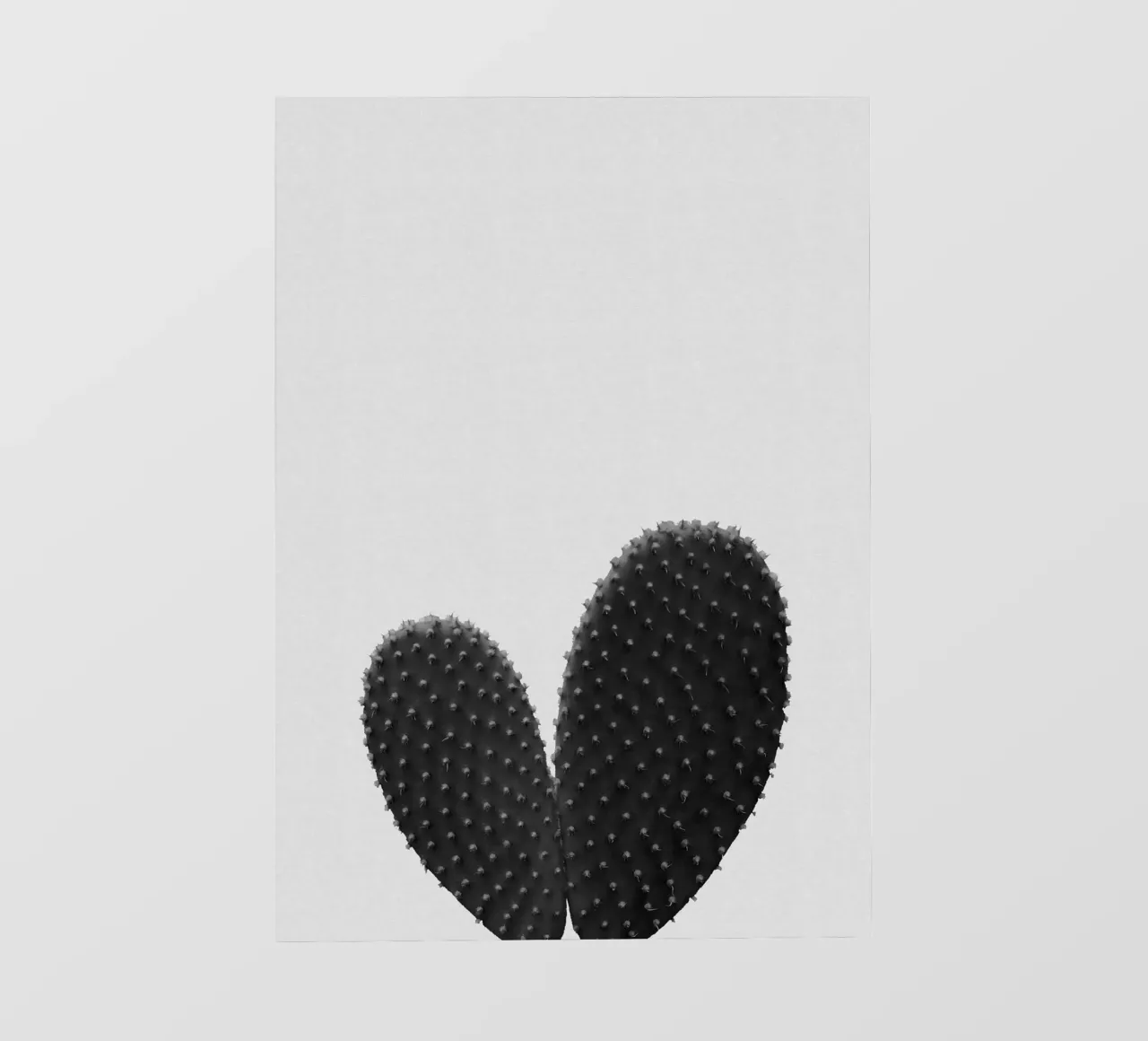 Cuore di cactus in bianco e nero pellicola backlit da Orara Studio