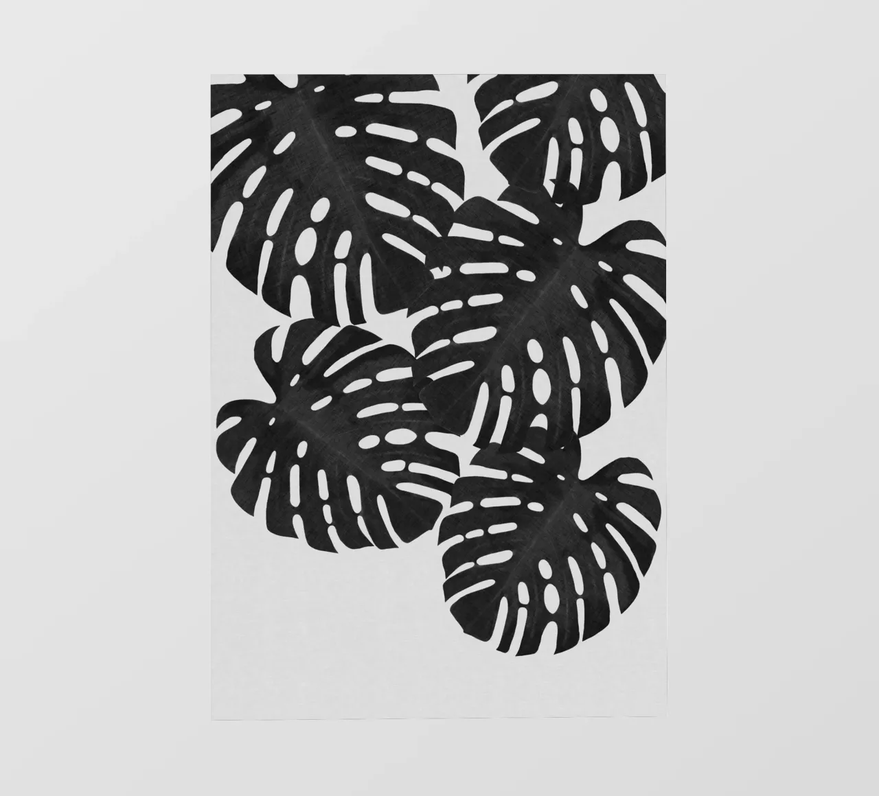 Monstera Foglia Bianco e Nero I pellicola backlit da Orara Studio