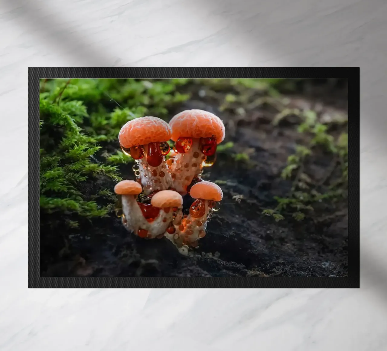 Herfst deurmat van Tom's Wildlife