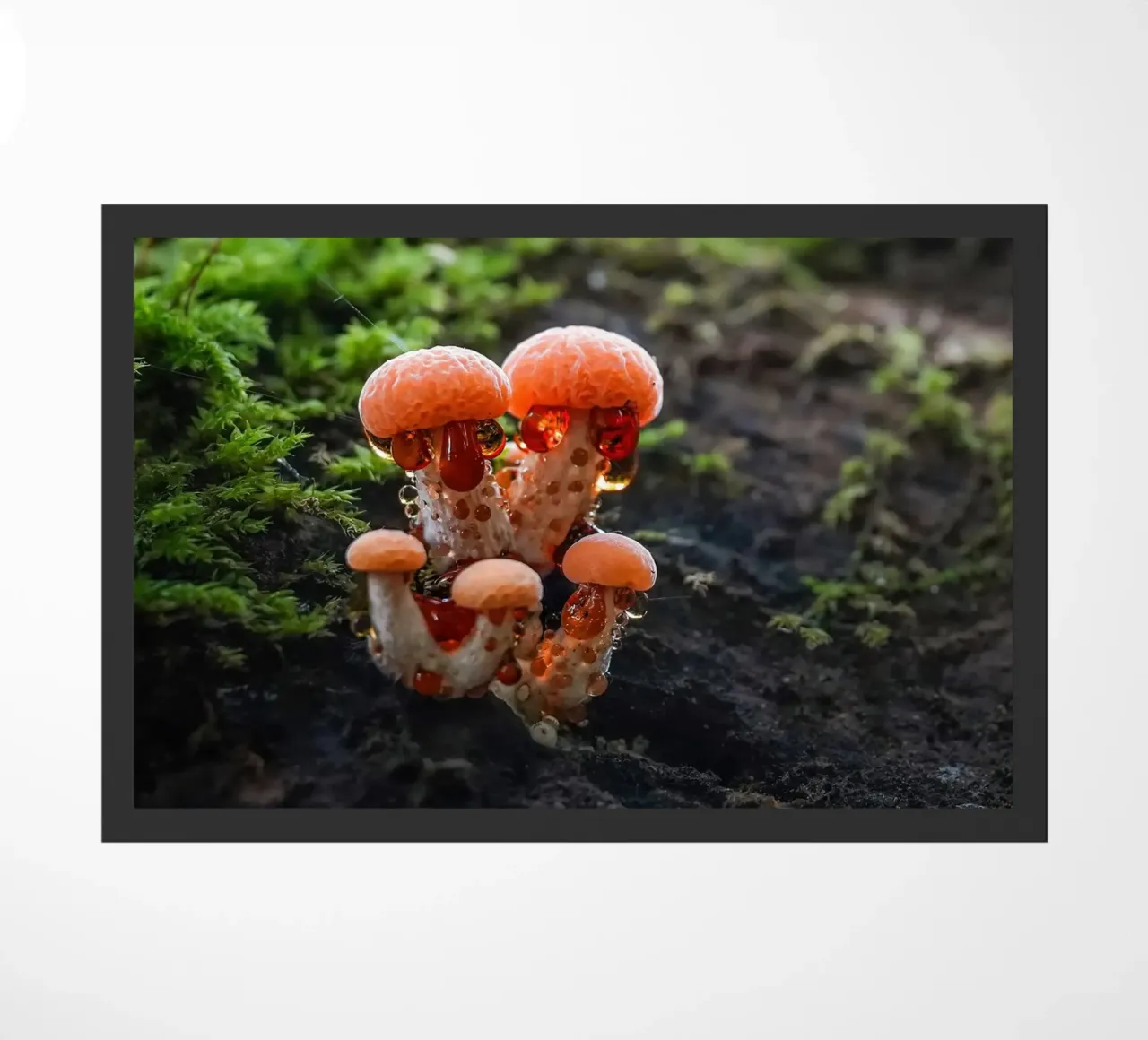 Herfst deurmat van Tom's Wildlife