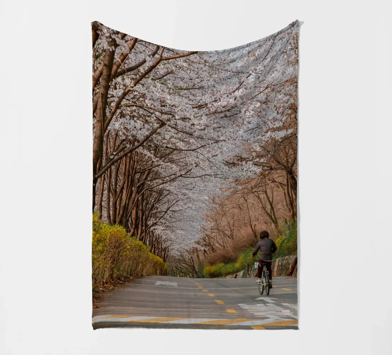 La strada dei ciliegi in fiore a Seul, Corea del Sud coperta in pile da mbgraphx2