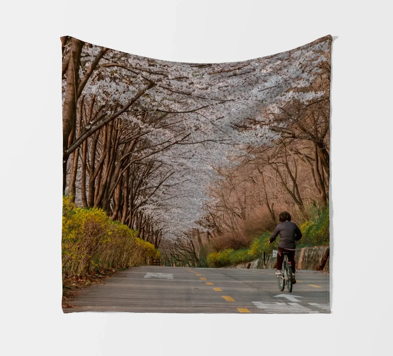 La strada dei ciliegi in fiore a Seul, Corea del Sud coperta in pile da mbgraphx2