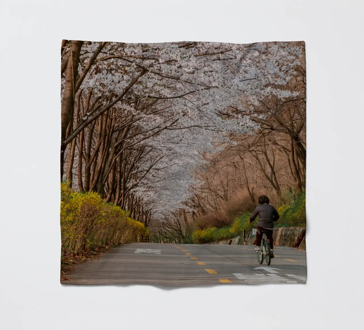 La strada dei ciliegi in fiore a Seul, Corea del Sud coperta in pile da mbgraphx2