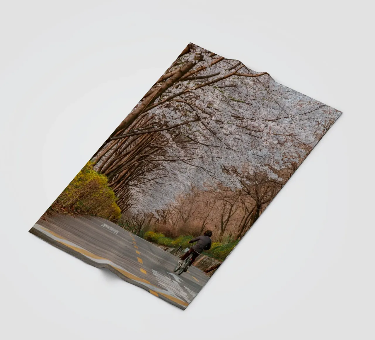 La strada dei ciliegi in fiore a Seul, Corea del Sud coperta in pile da mbgraphx2