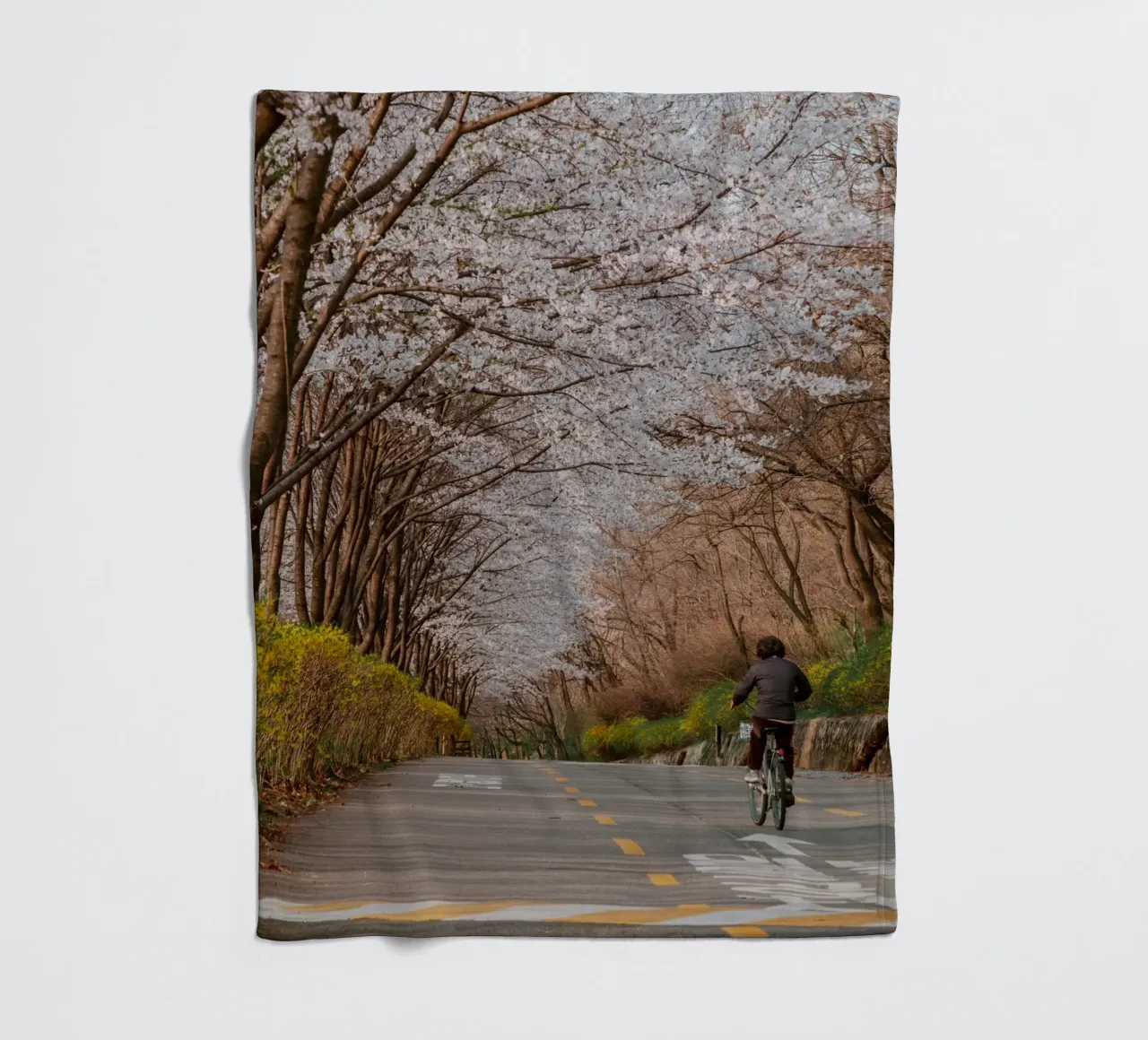 La strada dei ciliegi in fiore a Seul, Corea del Sud coperta in pile da mbgraphx2