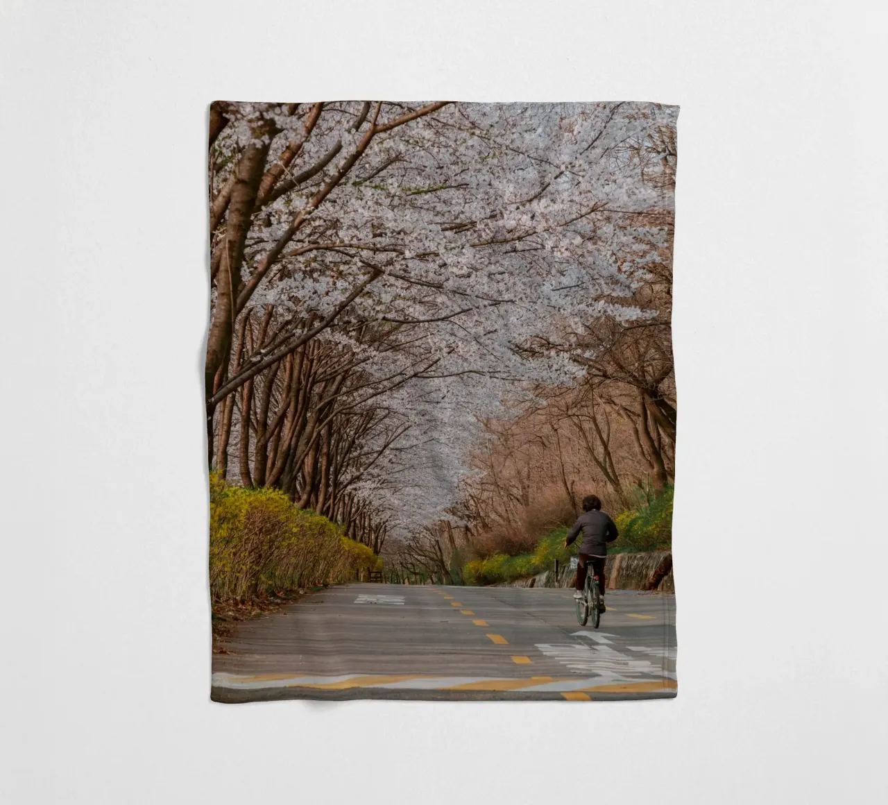 La strada dei ciliegi in fiore a Seul, Corea del Sud coperta in pile da mbgraphx2