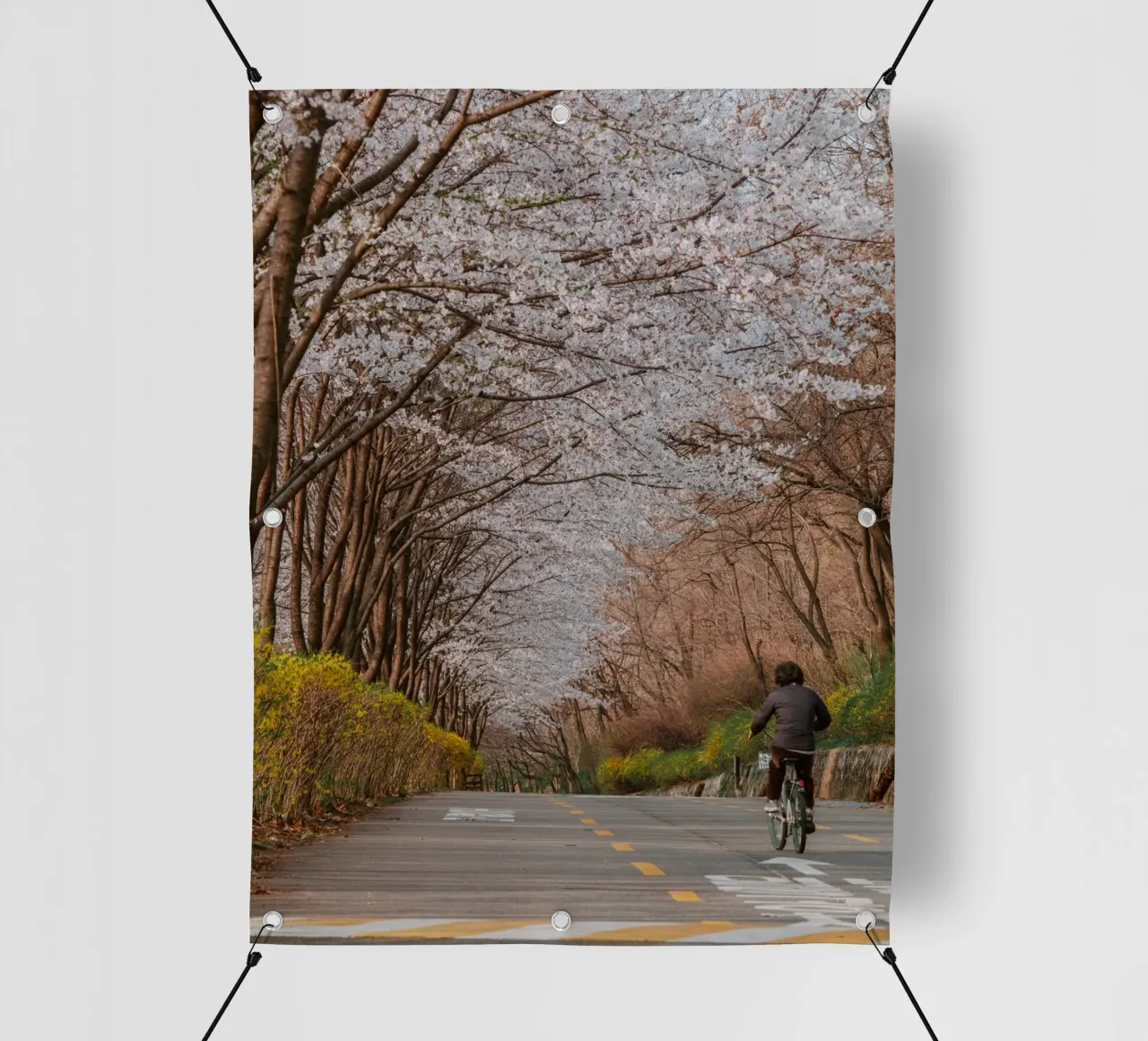 La strada dei ciliegi in fiore a Seul, Corea del Sud telo in pvc da mbgraphx2