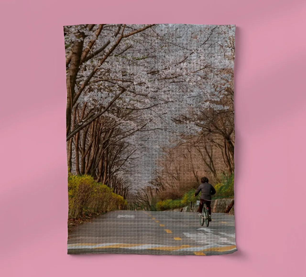 La strada dei ciliegi in fiore a Seul, Corea del Sud canovaccio da cucina da mbgraphx2