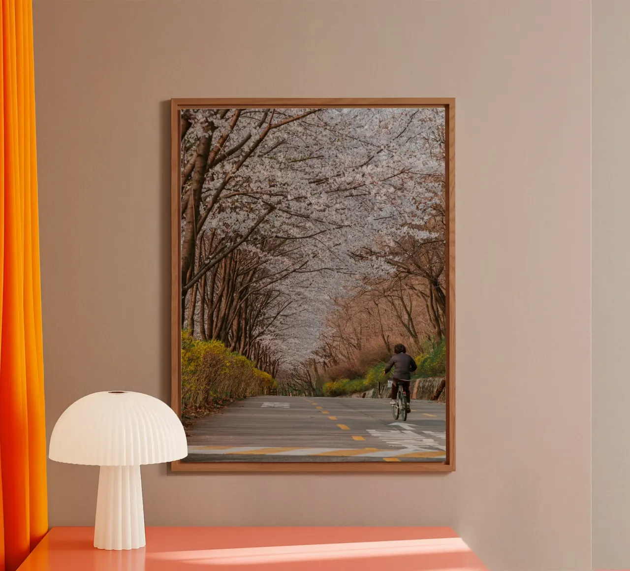 La strada dei ciliegi in fiore a Seul, Corea del Sud alluminio dibond da mbgraphx2