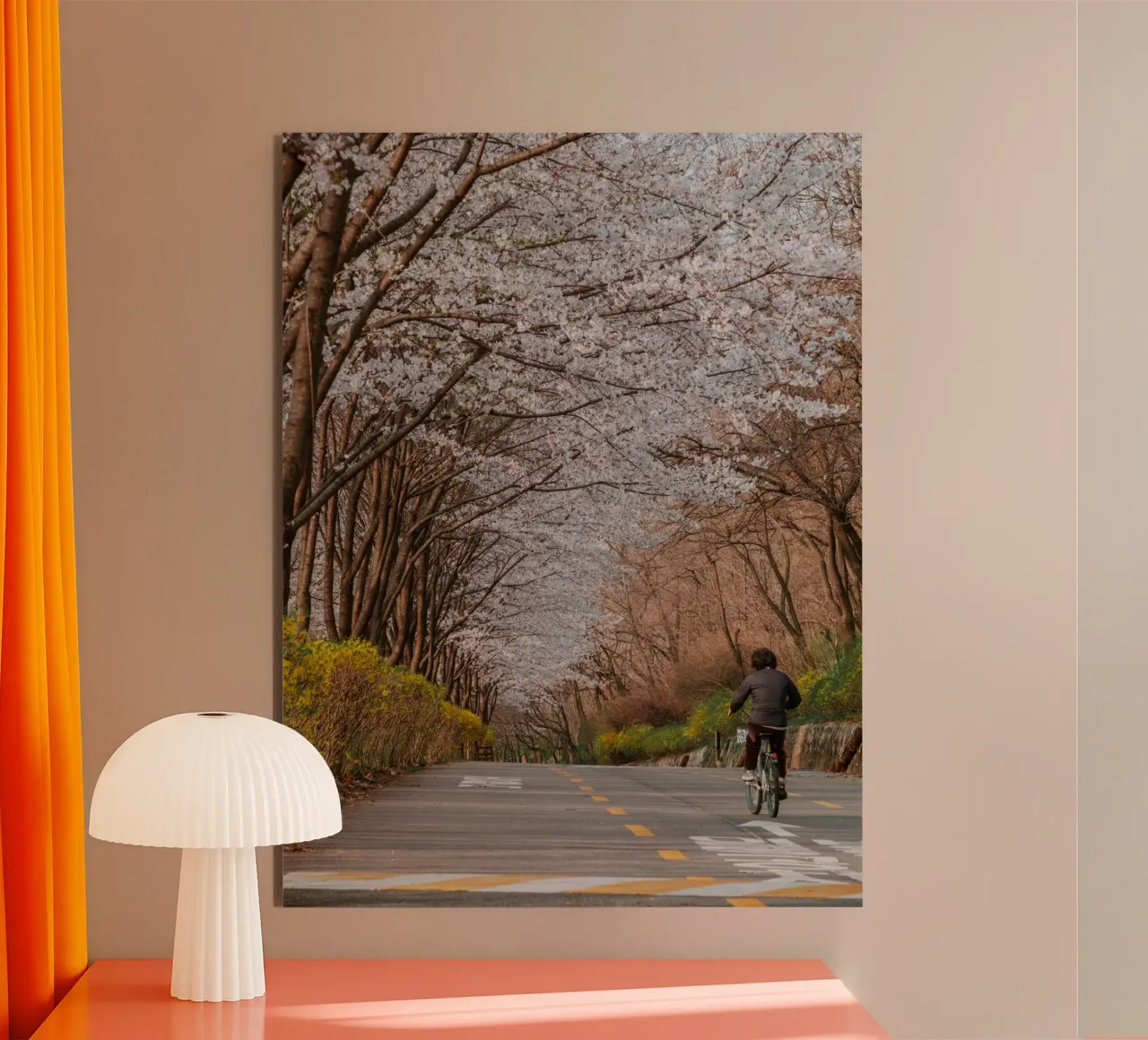 La strada dei ciliegi in fiore a Seul, Corea del Sud alluminio dibond da mbgraphx2