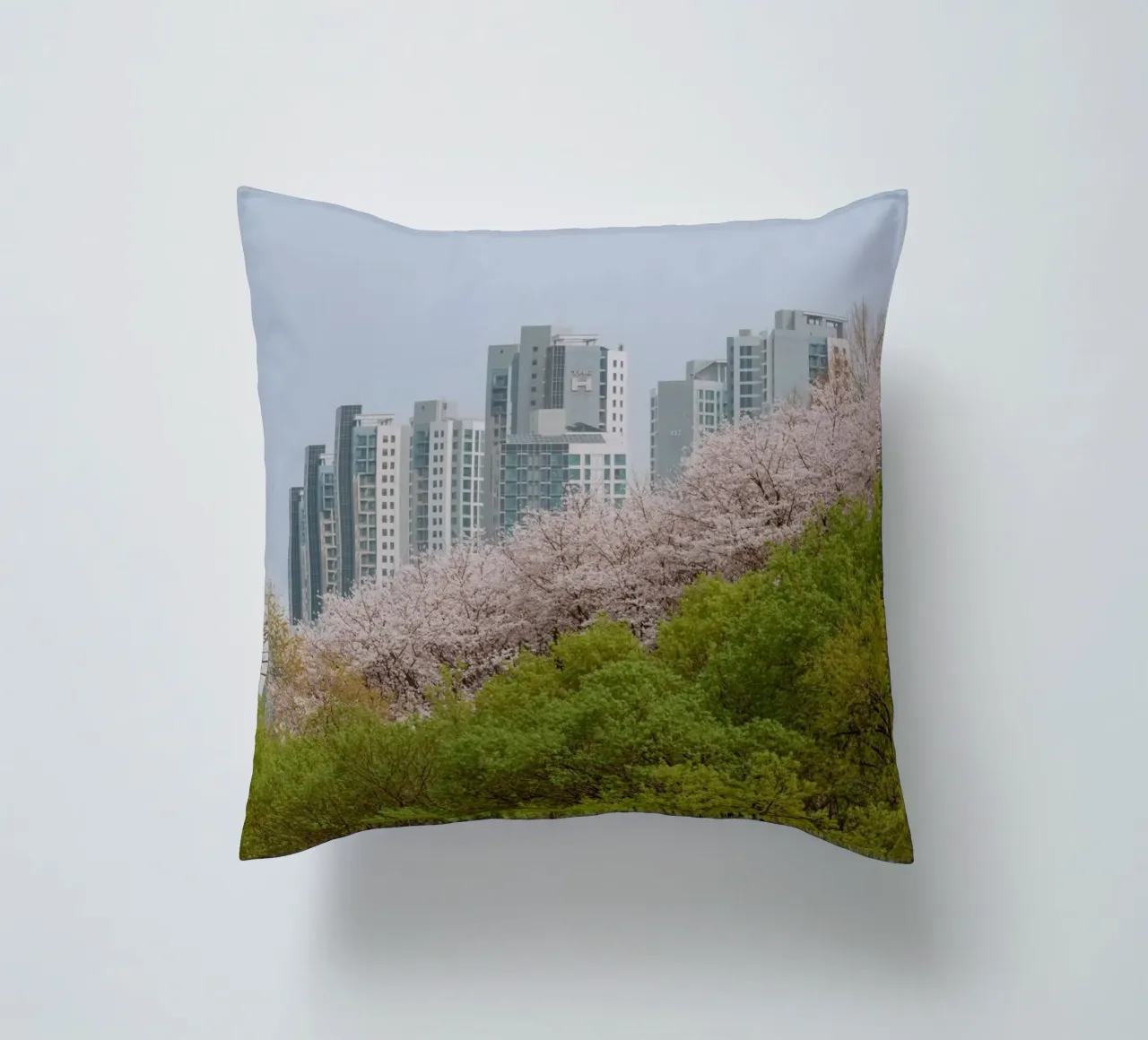 Strati di natura a Seul, Corea del Sud cuscino da mbgraphx2