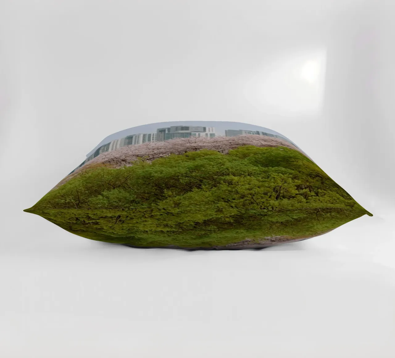 Strati di natura a Seul, Corea del Sud cuscino da mbgraphx2