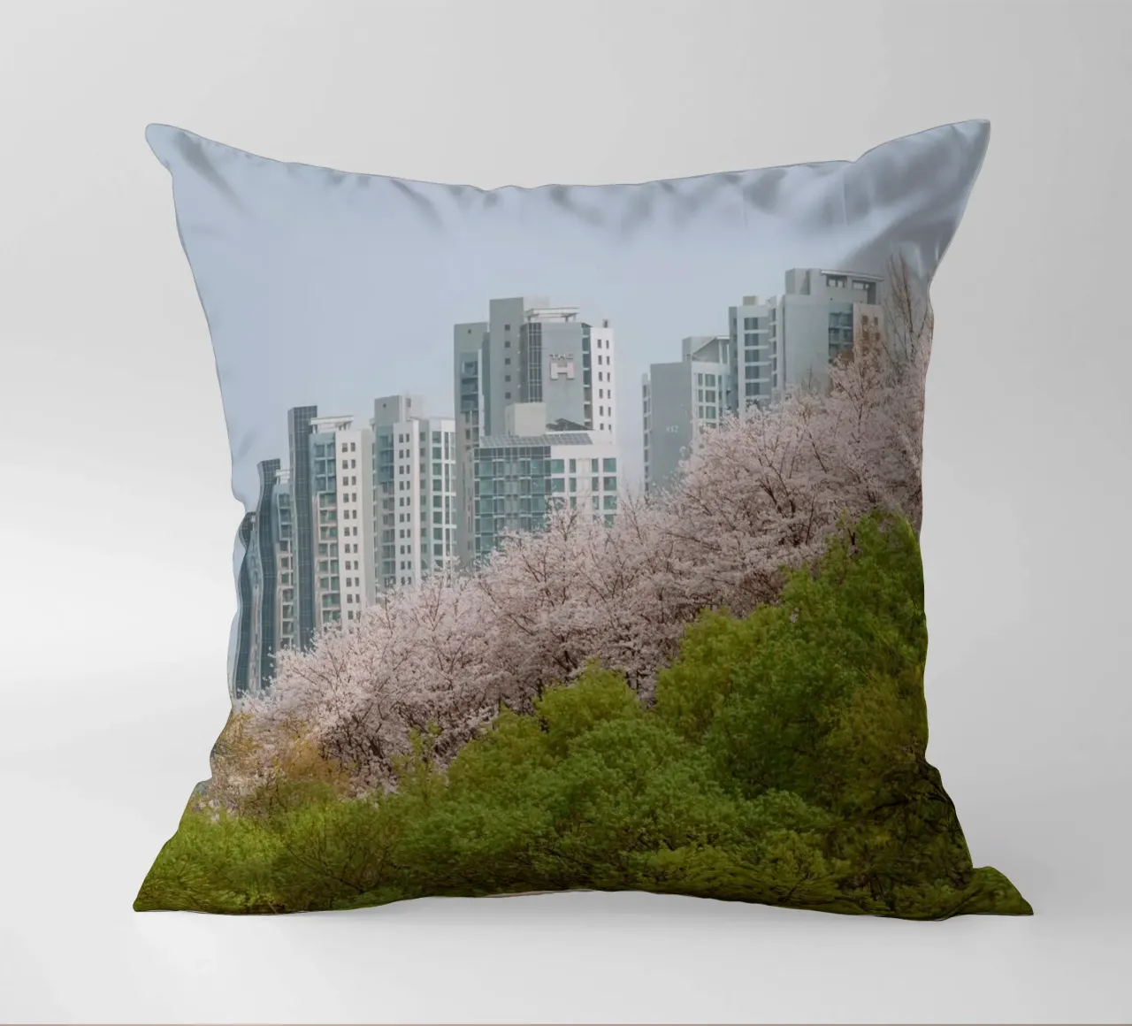 Strati di natura a Seul, Corea del Sud cuscino da mbgraphx2