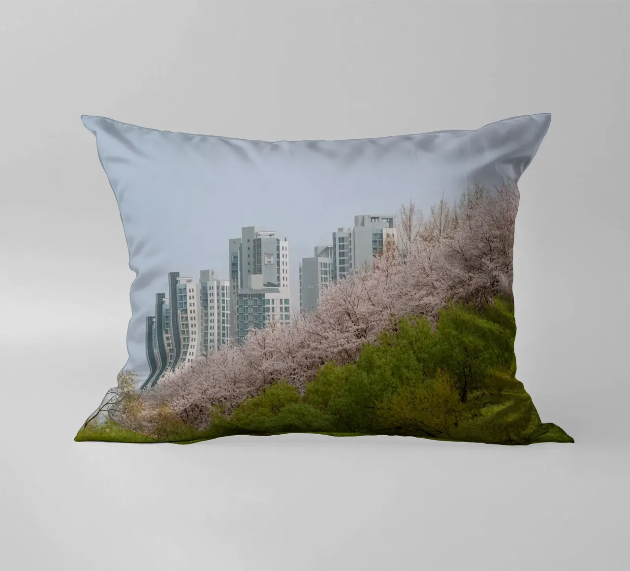Strati di natura a Seul, Corea del Sud cuscino da mbgraphx2