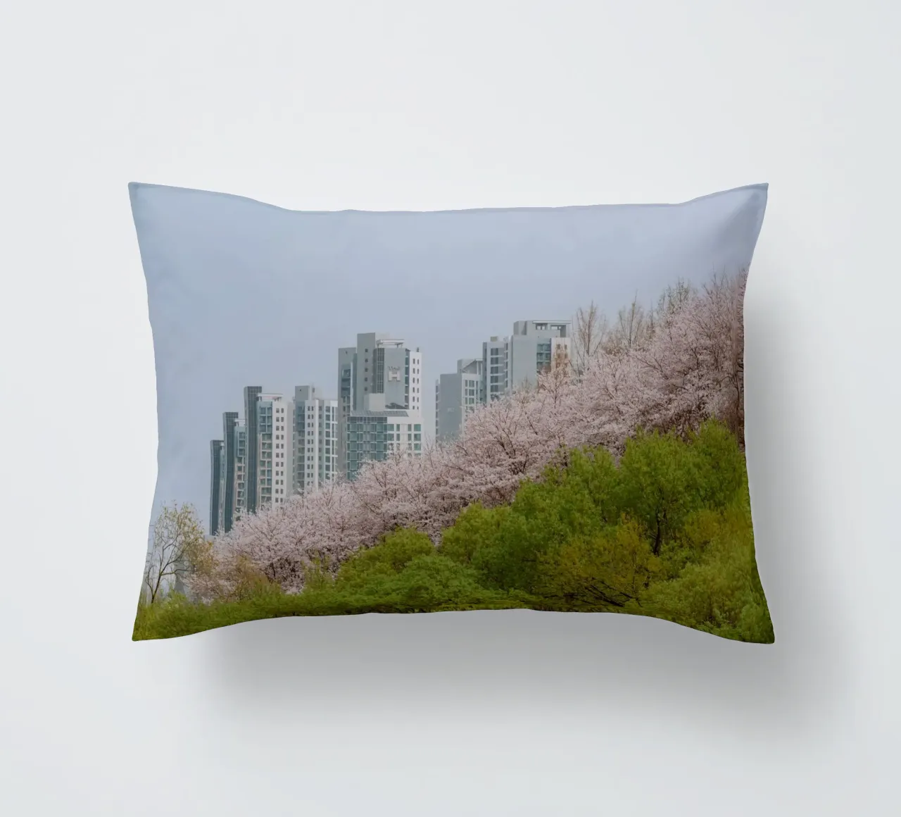 Strati di natura a Seul, Corea del Sud cuscino da mbgraphx2