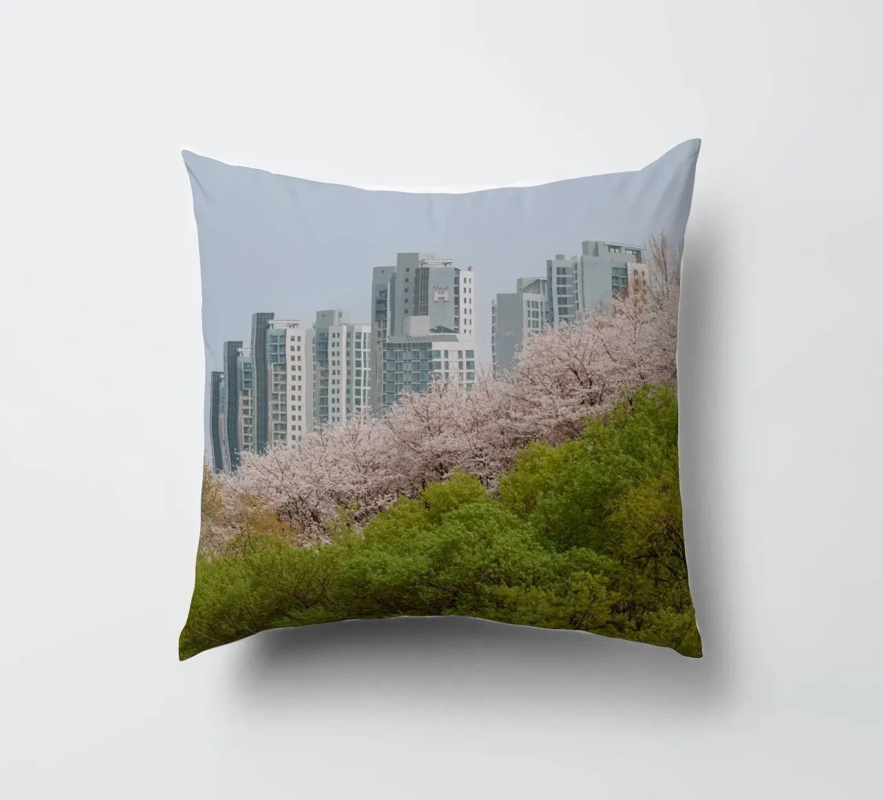 Strati di natura a Seul, Corea del Sud cuscino da mbgraphx2