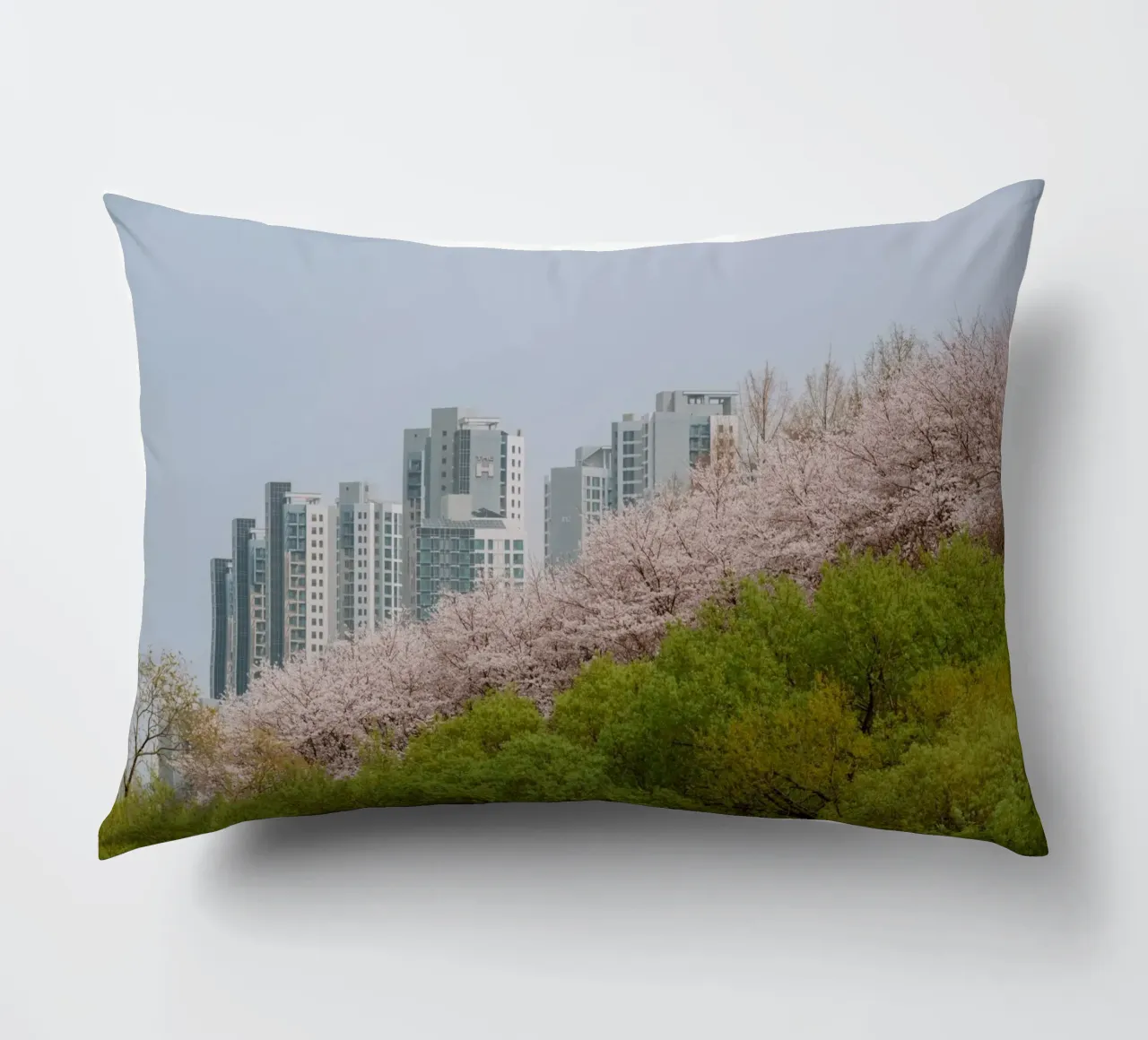 Strati di natura a Seul, Corea del Sud cuscino da mbgraphx2