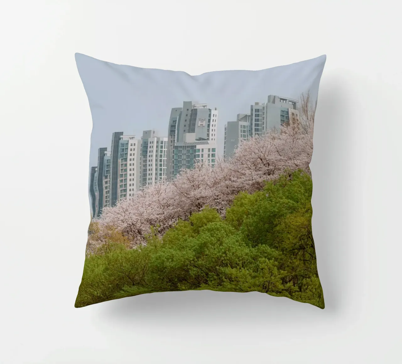 Strati di natura a Seul, Corea del Sud cuscino da mbgraphx2