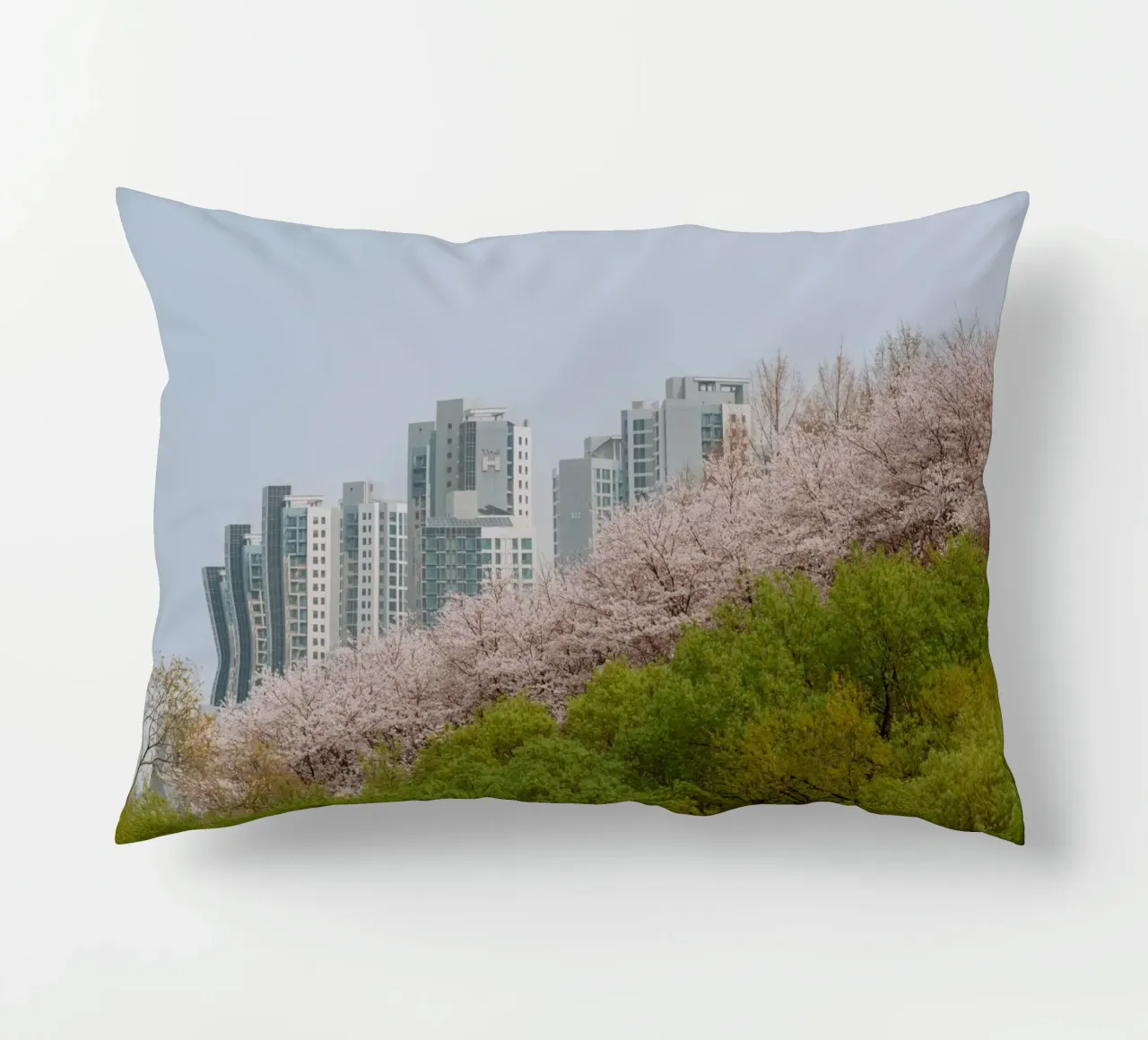 Strati di natura a Seul, Corea del Sud cuscino da mbgraphx2