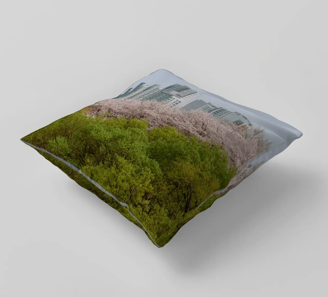 Strati di natura a Seul, Corea del Sud cuscino da mbgraphx2