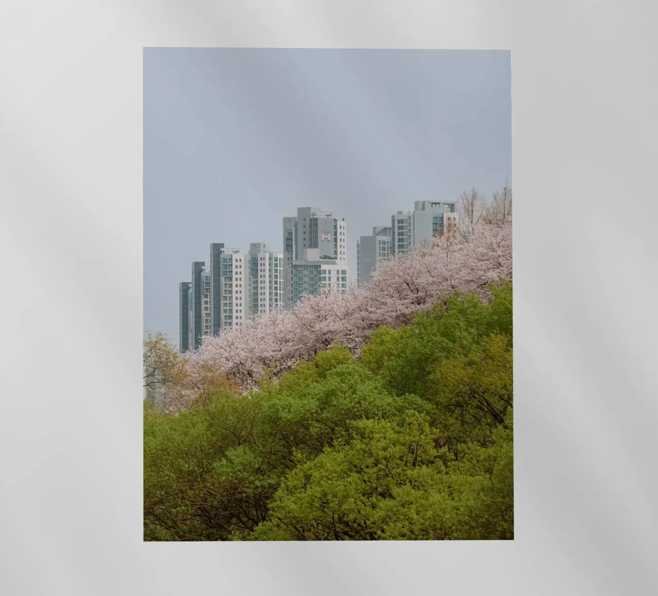 Strati di natura a Seul, Corea del Sud pellicola backlit da mbgraphx2