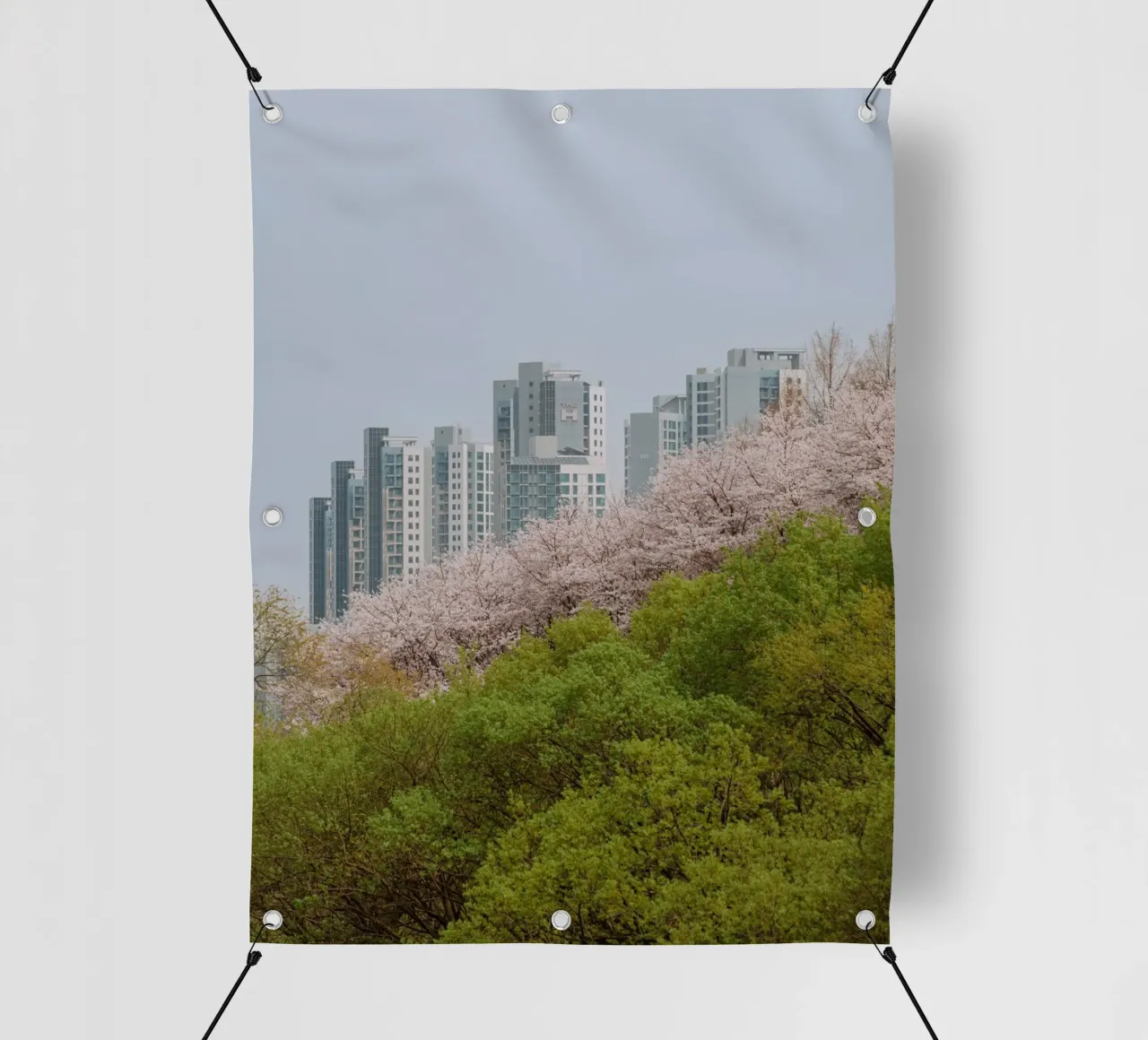 Strati di natura a Seul, Corea del Sud telo in pvc da mbgraphx2