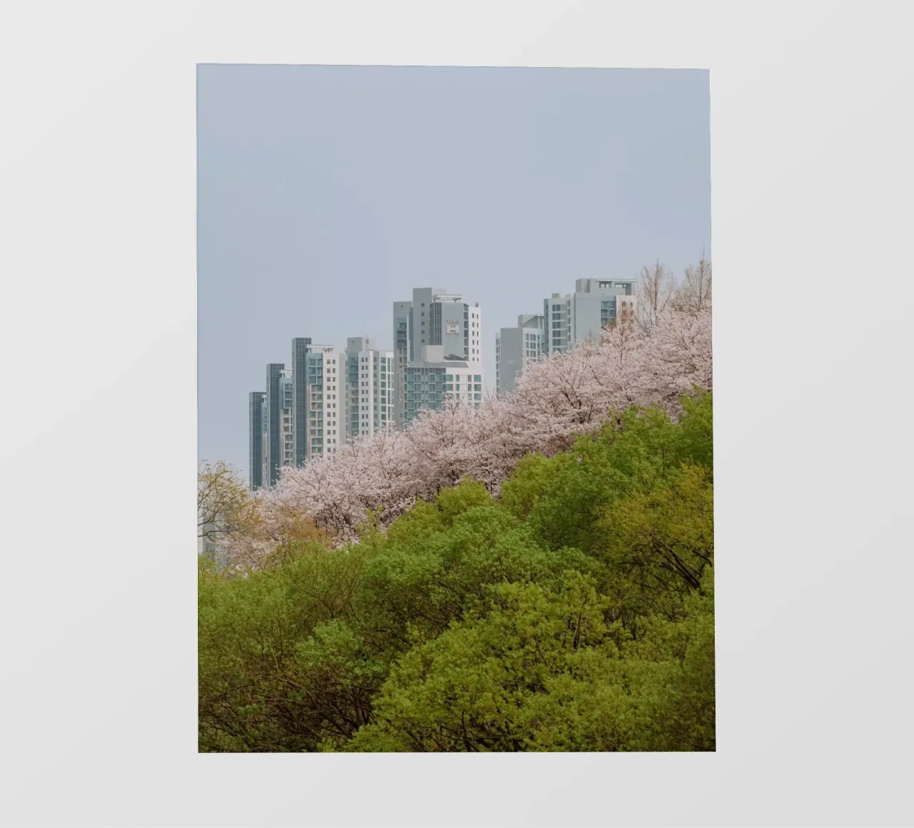 Strati di natura a Seul, Corea del Sud telo in pvc da mbgraphx2