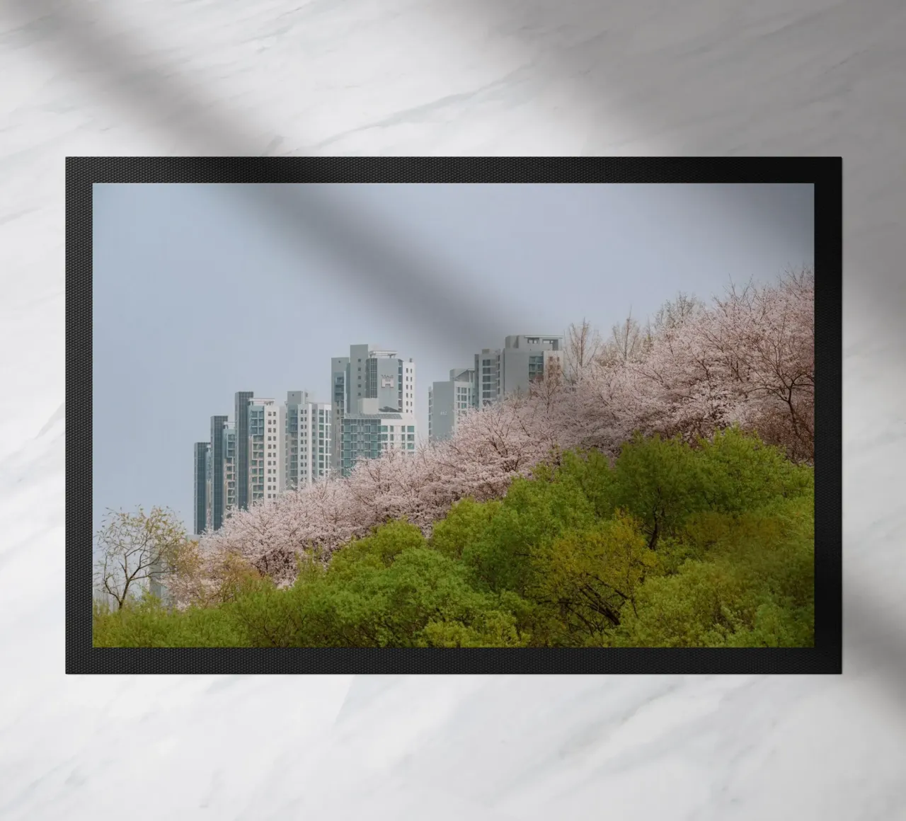 Strati di natura a Seul, Corea del Sud zerbino da mbgraphx2