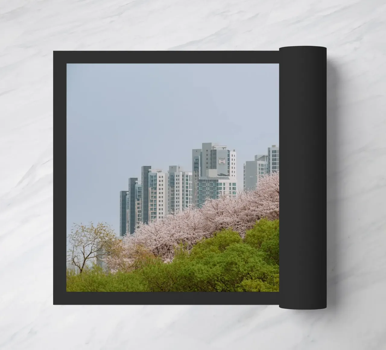 Strati di natura a Seul, Corea del Sud zerbino da mbgraphx2